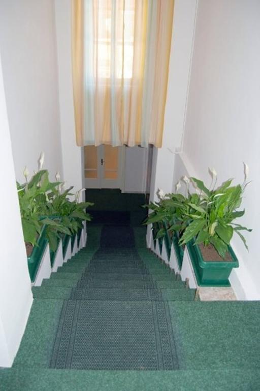 Hotel Seven